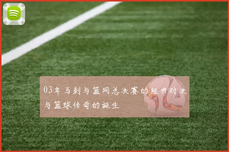 03年马刺与篮网总决赛的经典对决与篮球传奇的诞生
