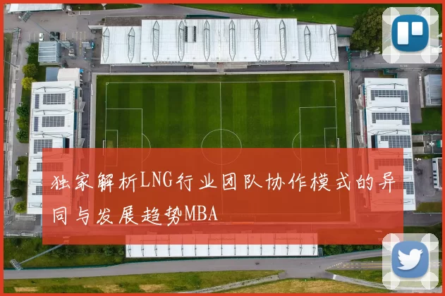 独家解析LNG行业团队协作模式的异同与发展趋势MBA