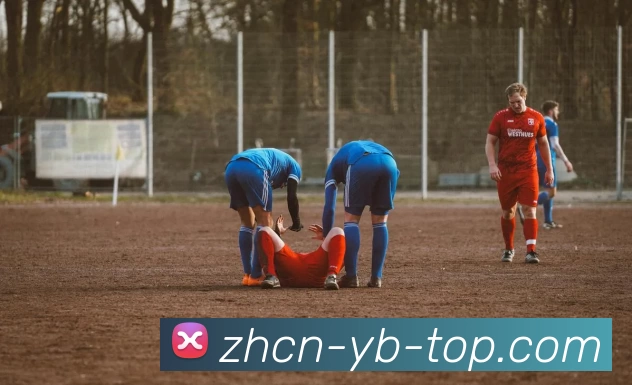 yb优博体育APP 封面图